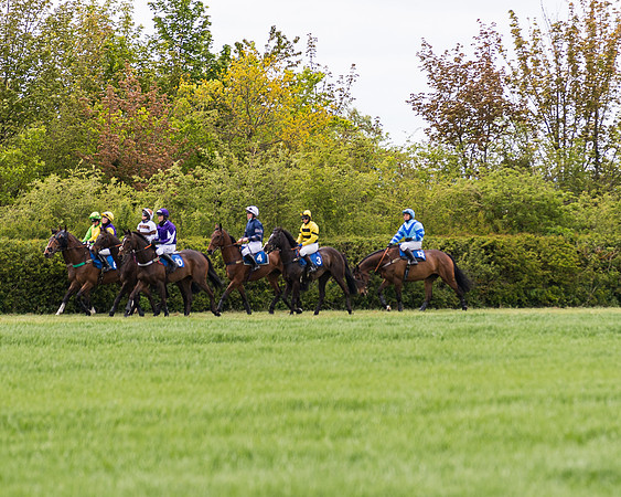 Race 3 - KBRC Conditions (77 of 239)