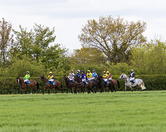 Race 3 - KBRC Conditions (79 of 239)
