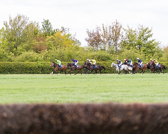 Race 3 - KBRC Conditions (110 of 239)