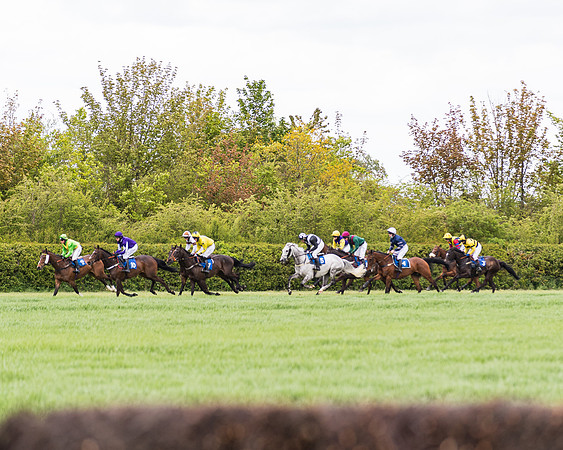 Race 3 - KBRC Conditions (111 of 239)