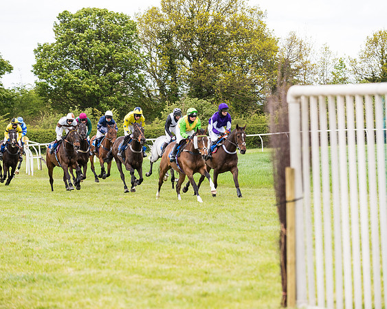 Race 3 - KBRC Conditions (113 of 239)