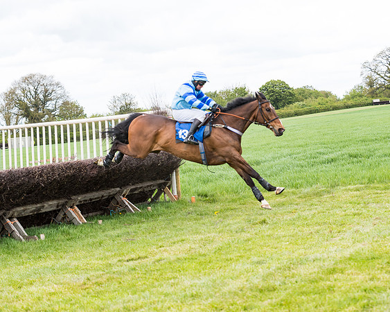 Race 3 - KBRC Conditions (129 of 239)