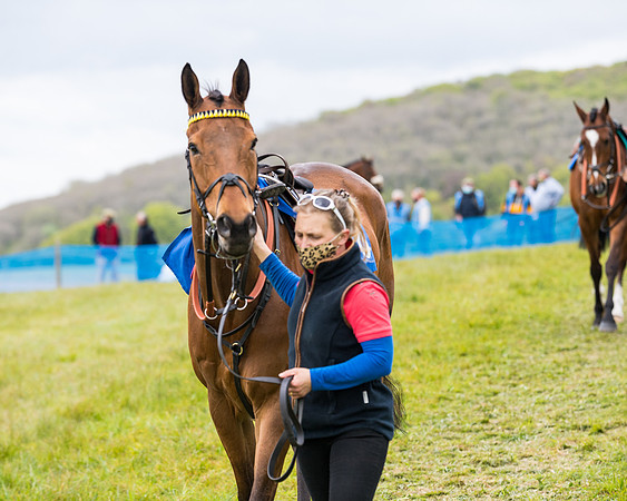 Race 7 - The Intermediate (19 of 159)