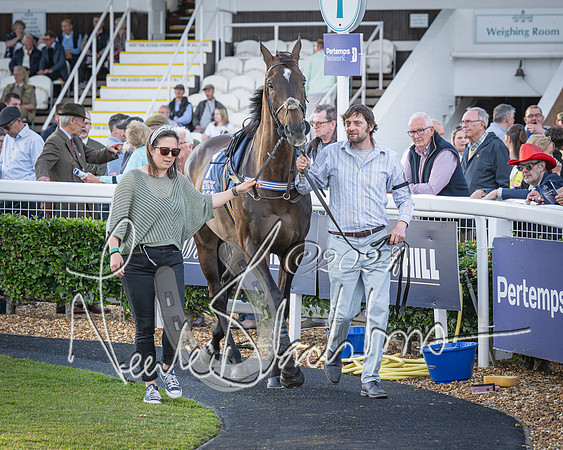 Race 5 - tipsterreviews.co.uk handicap (9 of 107)