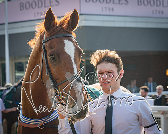 Race 3 - The Junior Jumpers open hunter's steeple chase 3m1f56y (8 of 156)