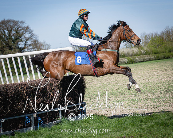 Race 5 - The restricted (61 of 113)