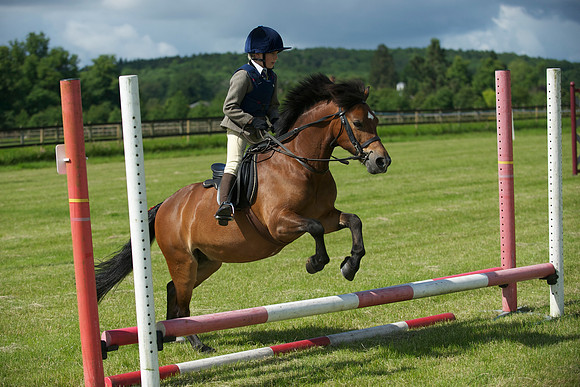 SOHS PC Summer Show at BCA 17th June 2012