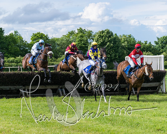 Race 5 - Restricted Race (200 of 434)
