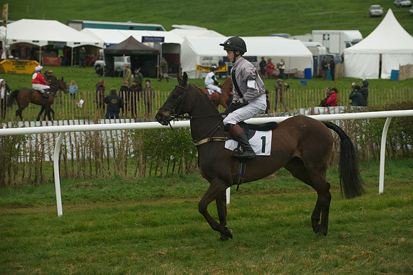 Race 8 - Pony Race 2 -  8