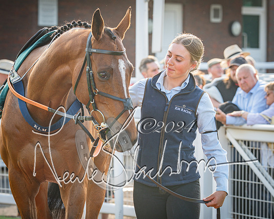 Race 4 - The Jonathan Neesom memorial open Hunter’s steeplechase 3m2f 70y (17 of 167)