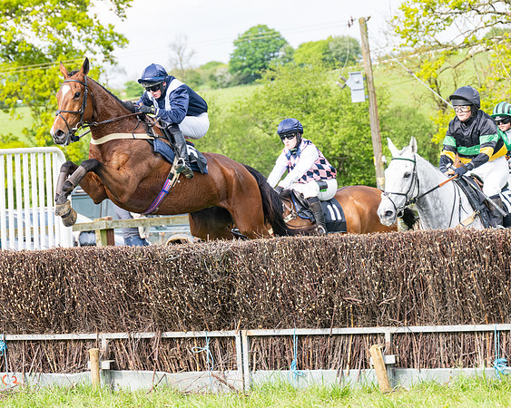 Race 5  - Novice riders (104 of 188)