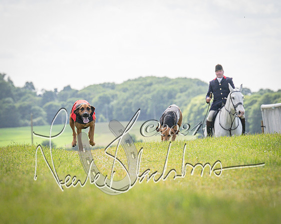 The Hound Race (8 of 68)