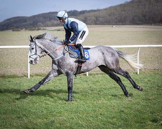 Race 3 - The Maiden Conditions (53 of 214)