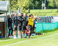 Watford Ladies