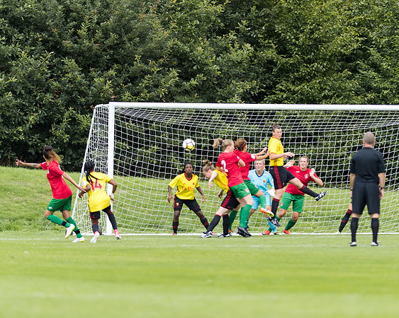 Coventry 2 v Watford 1 -31