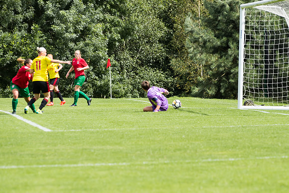 Coventry 2 v Watford 1 -33