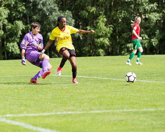 Coventry 2 v Watford 1 -79