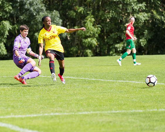 Coventry 2 v Watford 1 -80