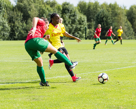 Coventry 2 v Watford 1 -81
