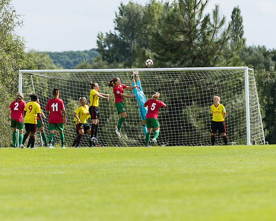 Coventry 2 v Watford 1 -86