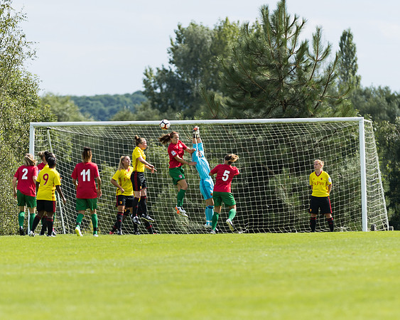 Coventry 2 v Watford 1 -87