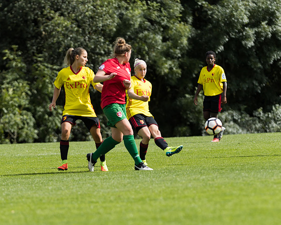 Coventry 2 v Watford 1 -130