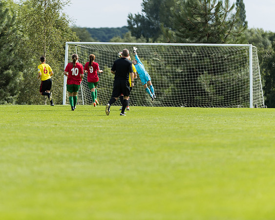 Coventry 2 v Watford 1 -132