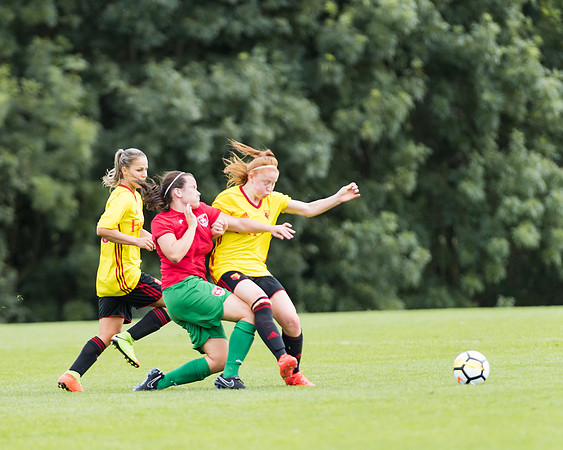 Coventry 2 v Watford 1 -161