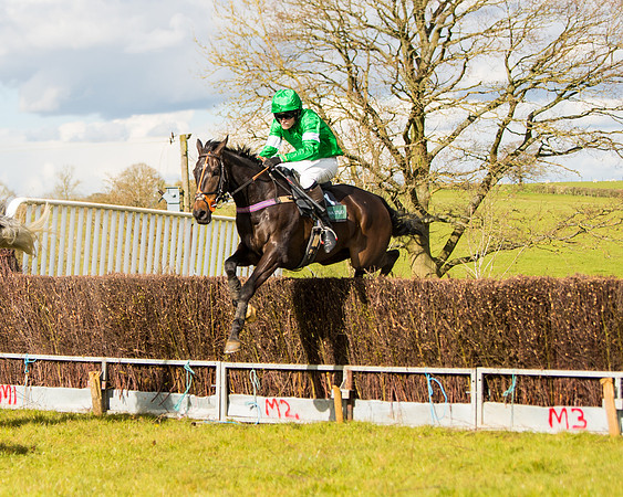 Race 5 - Restricted  (46 of 118)