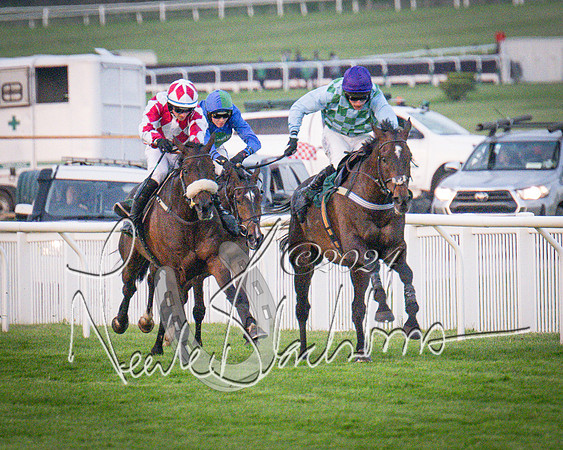 Race - 7 The Royal Gloucester Hussars Open Hunter's steeplechase 2m4f 127y (98 of 210)