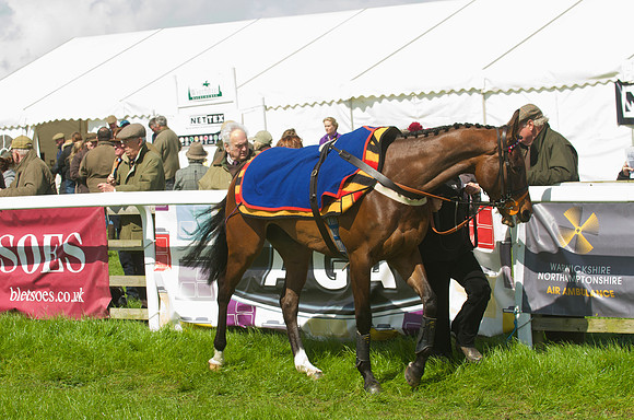 Race 2 - Open Maiden  3