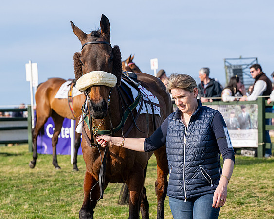 Race 5 - PPORA Five years and over (33 of 163)