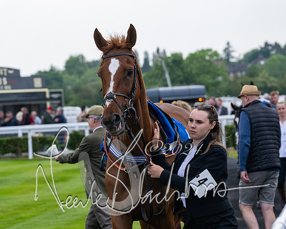 Race 1 - Restricted Novices Hunter Chase (22 of 145)