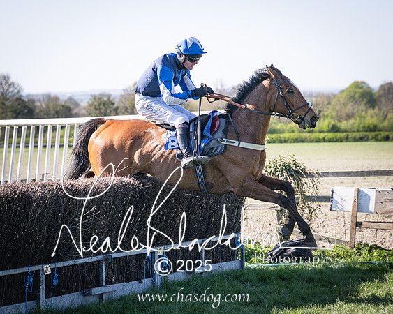 Race 6 - Veteran horse (88 of 109)