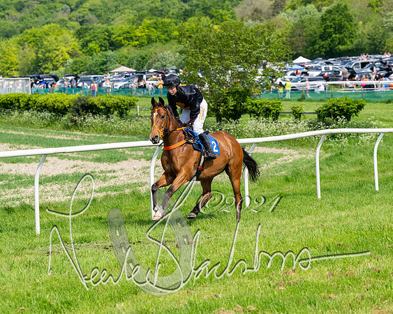 Race 3 - Ladies Open  (48 of 133)