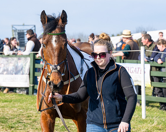 Race 5 - PPORA Five years and over (29 of 163)