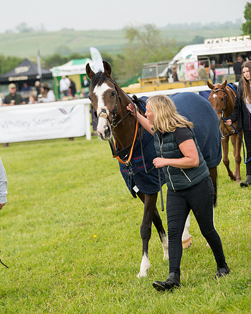 Pony Race 2 (10 of 113)