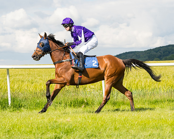 Race 5 - Restricted  (27 of 136)