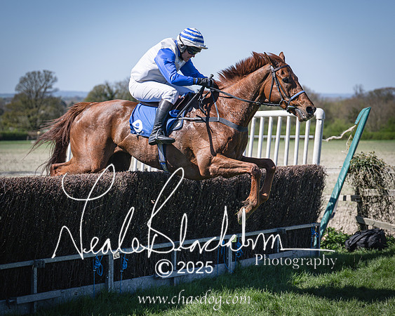 Race 2 - The Maiden (84 of 118)