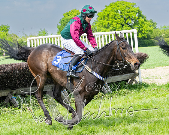 Race 2 - Restricted  (232 of 308)