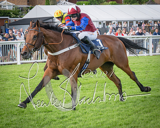 Race 2 - Olly Murphy Racing Stratford Ladies Open (93 of 111)