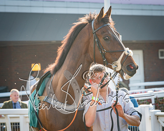 Race 4 - The Jonathan Neesom memorial open Hunter’s steeplechase 3m2f 70y (3 of 167)