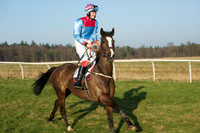 Races 6 - Open Maiden 7