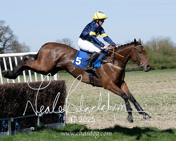 Race 5 - The restricted (51 of 113)