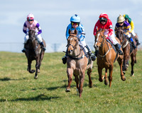Oakley Ponies (18 of 96).jpg