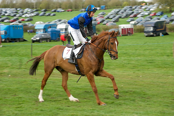 Race 5 - Restricted  5