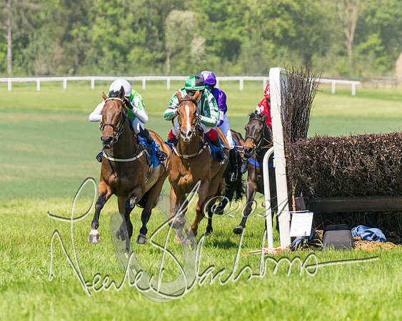 Pony Races  (61 of 141)