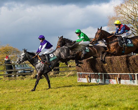 Race 5 - Restricted  (23 of 118)