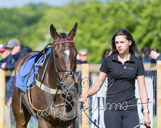 Race 6 - The Maiden  (9 of 448)