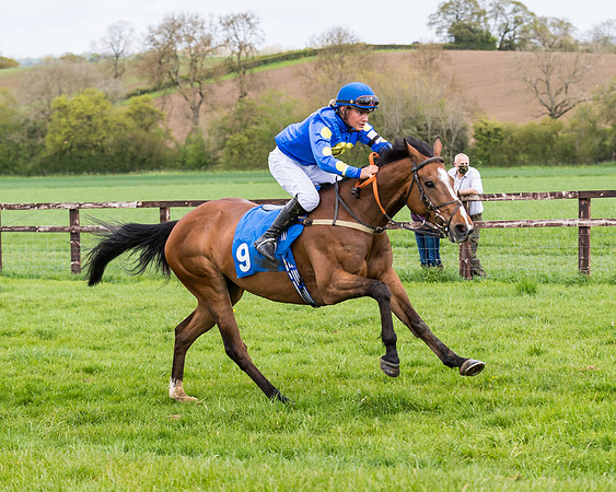 Pony Race 2  (31 of 93)